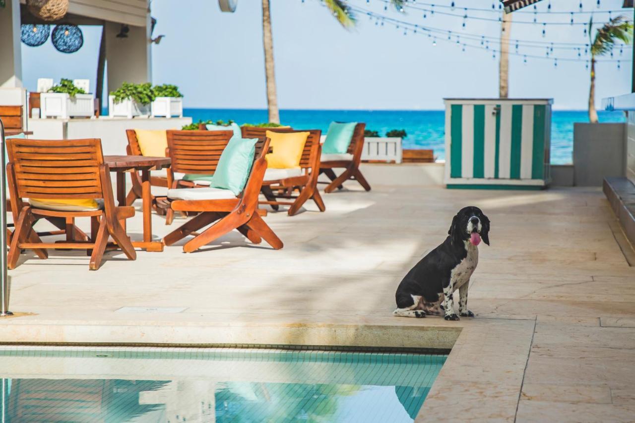 Thompson House Resort 4*
